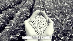 Tohum alma kredisi