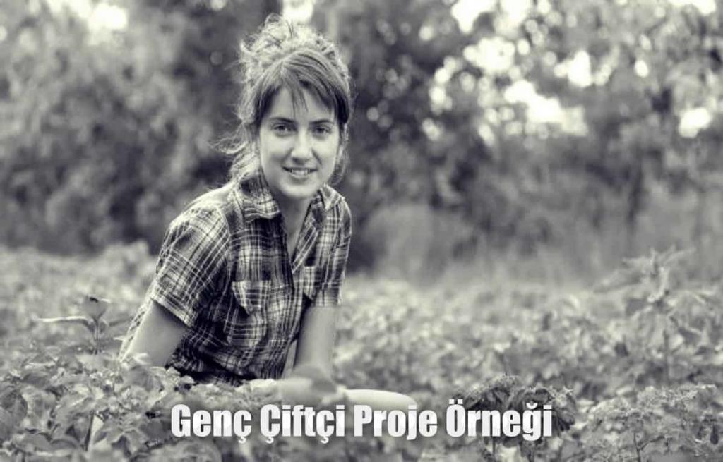 Genç çiftçi hibe desteği proje örneği