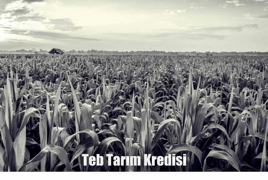 TEB Tarım Girişimcilerine Özel Kredi Paketi