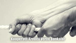 Kooperatif Kredisi Veren Bankalar ve Şartları