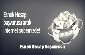 Yapı Kredi Esnek Hesap